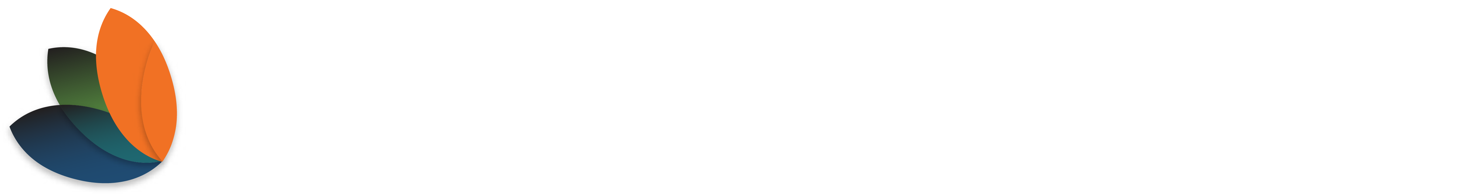Bloom Logo